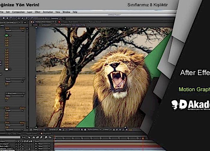 Adobe After effect kursu İstanbul